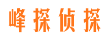 武都出轨调查